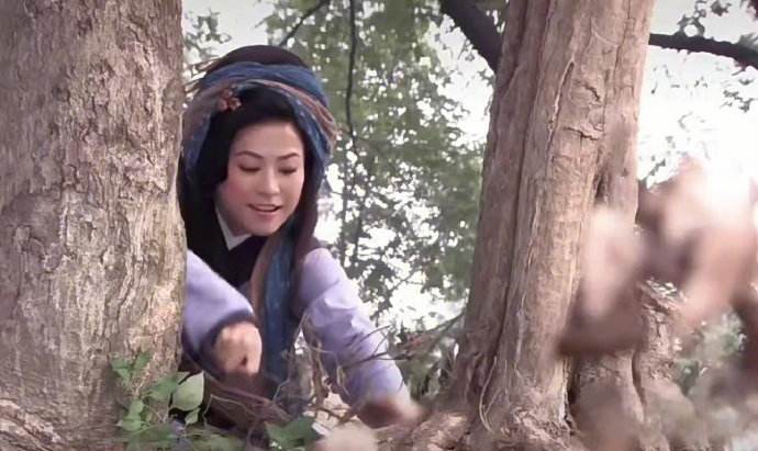抢注“王宝钏”商标不违法，但仍需慎重！